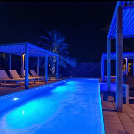 Exclusive New Luxury Townhouse With Pool In Palm Beach